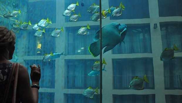 Radisson Blu Hotel Berlin: акваріум AquaDom у холі готелю, інтер'єр