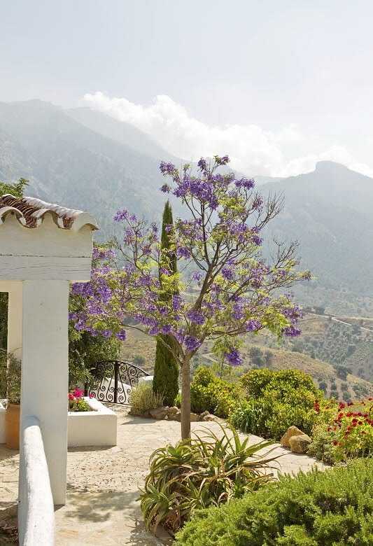 Затишок El Carligto Затишний інтер'єр сільського будинку з плетеними меблями та елементами іспанського дизайну.