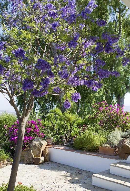 Натхнення старовиною Дизайн інтер'єру в стилі "під старовину" з використанням натуральних матеріалів та плетених меблів.