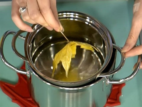 Захист парафіном Парафін для збереження осіннього листя: простий спосіб продовжити красу осені.