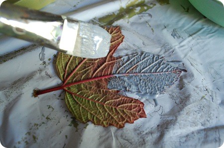 Кольорове листя Фарбування осіннього листя різними кольорами для створення оригінального осіннього декору 2026.