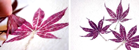 Відбитки листя Відбитки осіннього листя на полотні, створення картини в осінній тематиці, вироби з осіннього листя.