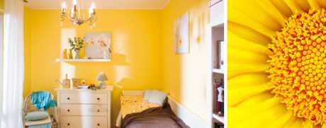 Кольори 2026: створюємо ідеальний інтерєр, що надихає — Колір в інтер'єрі 2026