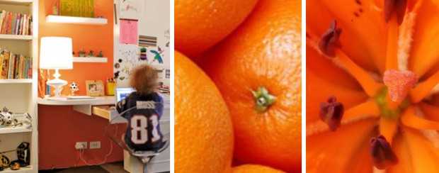 Помаранчевий колір в дизайні інтер'єру 2026: приклад використання для акценту