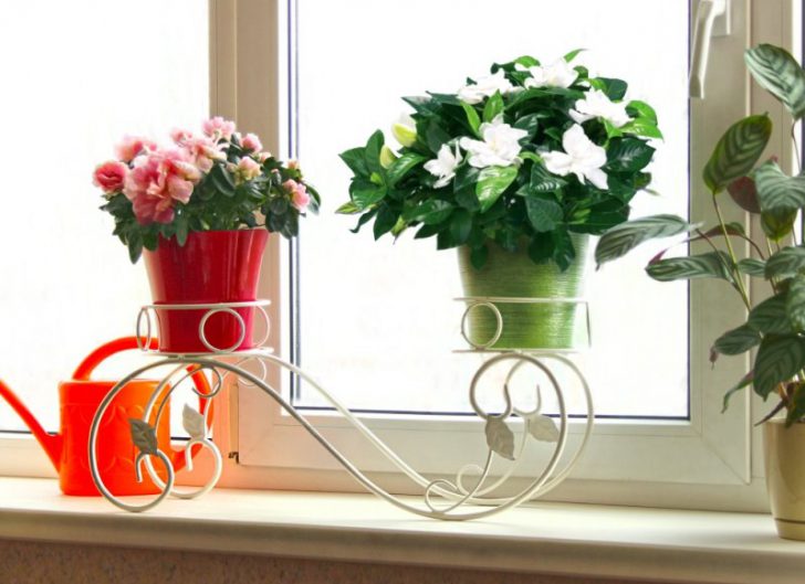 Лофт квітковий куточок Чорна кована підставка для кімнатних рослин у стилі лофт, лаконічний дизайн.