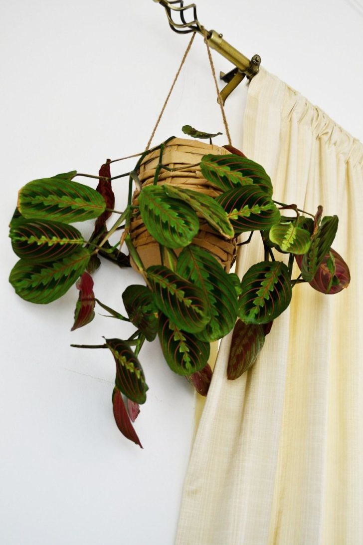 Готове кашпо Готове, оригінальне кашпо, зроблене з перероблених паперових пакетів, в інтер'єрі.