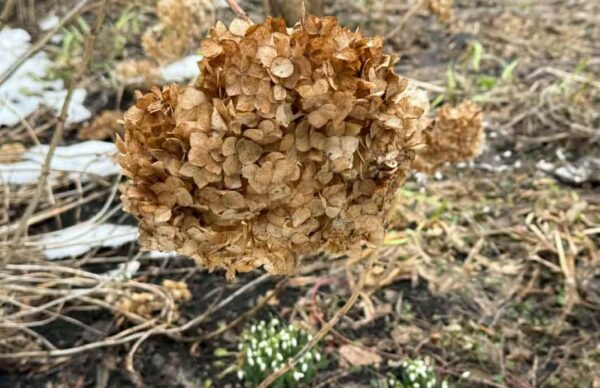 Позбавтеся від непотребу: як організувати простір у вашому домі