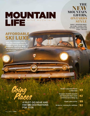 Тихі кухні: тенденція до мінімалізму та функціональності в дизайні інтер