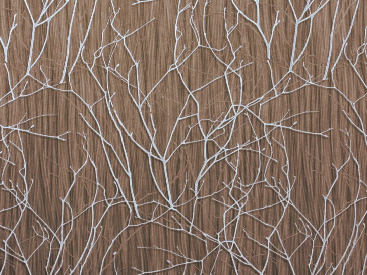 Шпалери: вибір експерта Вибір шпалер: поради експерта з урахуванням площі приміщення у 2026 році