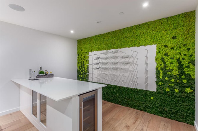 Жива стіна в домі Фітостіна в інтер'єрі сучасного будинку, що покращує якість повітря та створює затишну атмосферу.