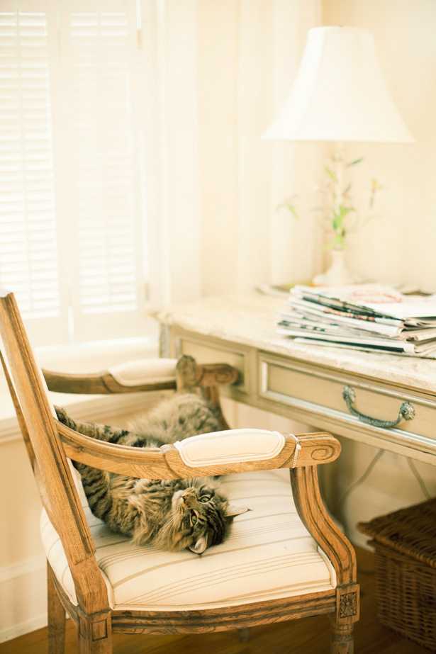 Арт Деко Ферма Дизайн фермерського будинку 2026: світлий інтер'єр у стилі арт деко з сучасними акцентами