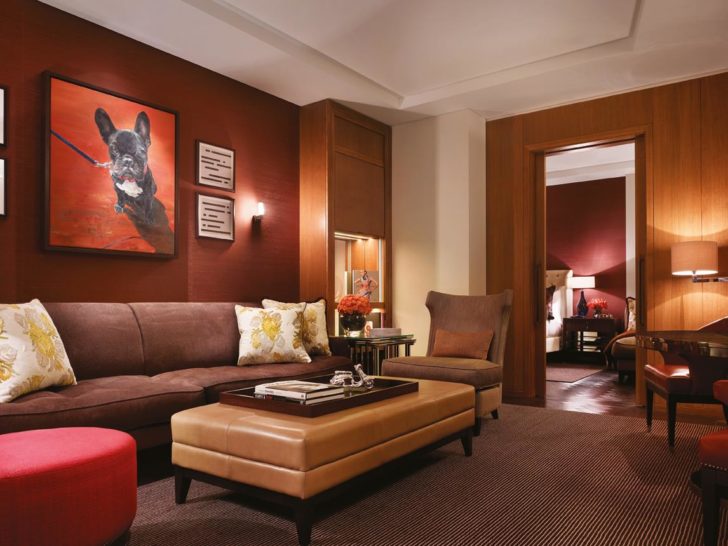 Сучасний бордовий дизайн Сучасна бордова вітальня: меблі та декор для стильного вигляду у 2026