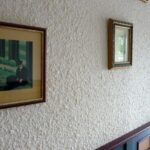 Рідкі шпалери: як обрати ідеальні для вашого дому?